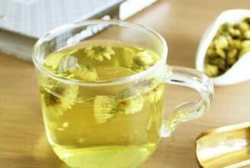 皇菊0.5米以下