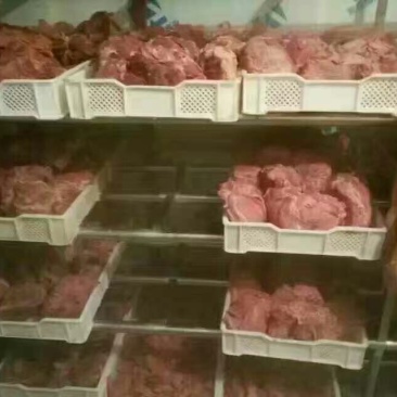 牛肉干黄牛肉鲜肉