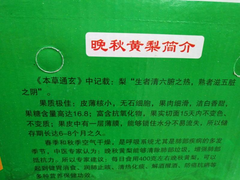 晚秋黄梨600g以上光果