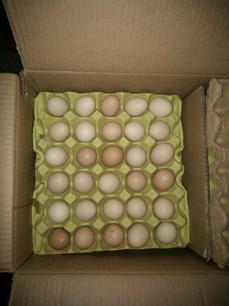 土鸡蛋食用50g以下