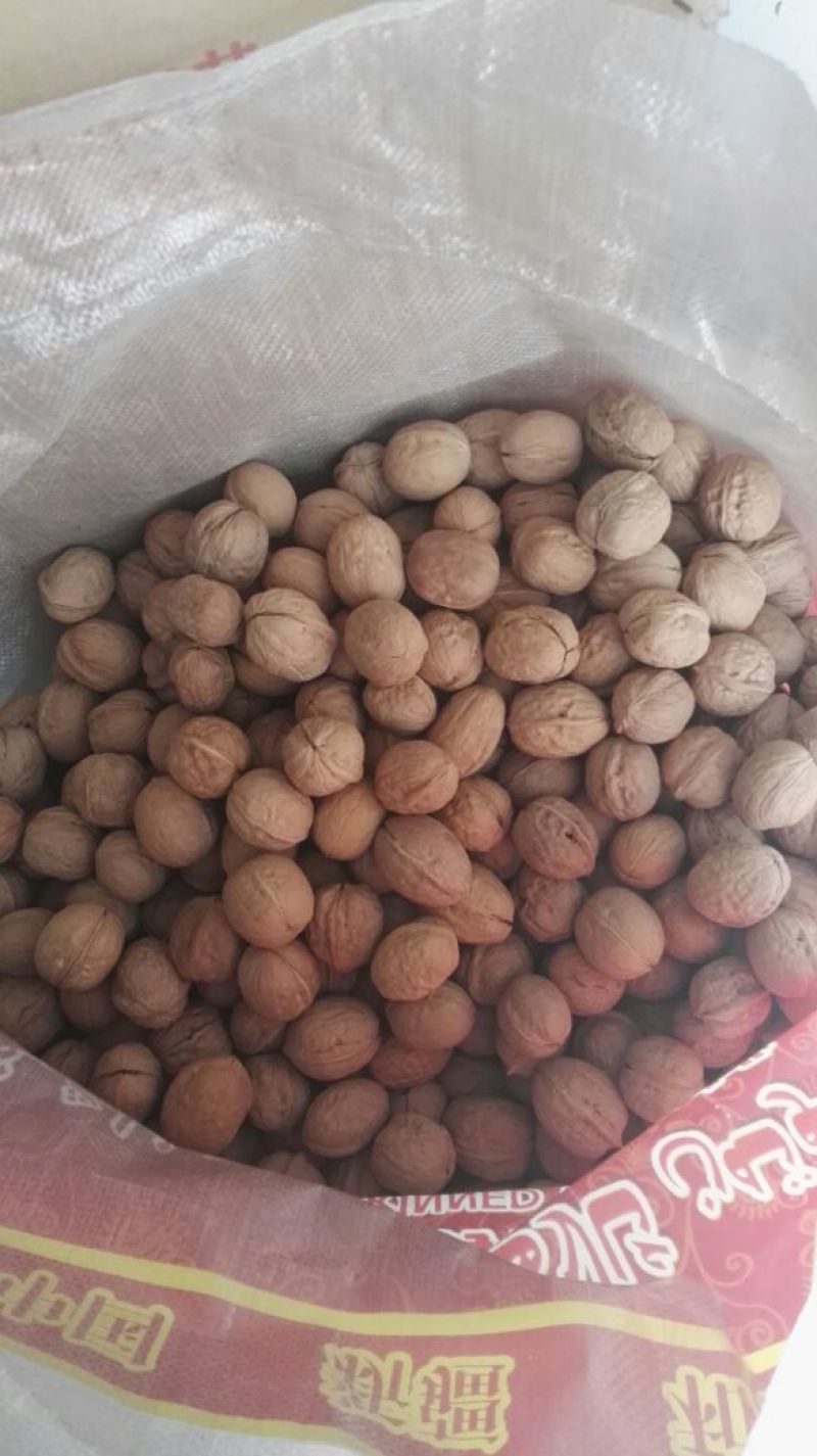 薄皮核桃去皮