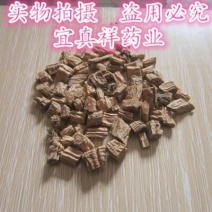 党参干货中条