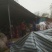 紫薯紫心3两以上湖北省襄阳市宜城市电商平台专用