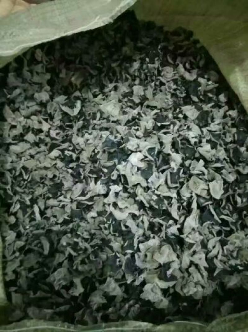 黑木耳一级
