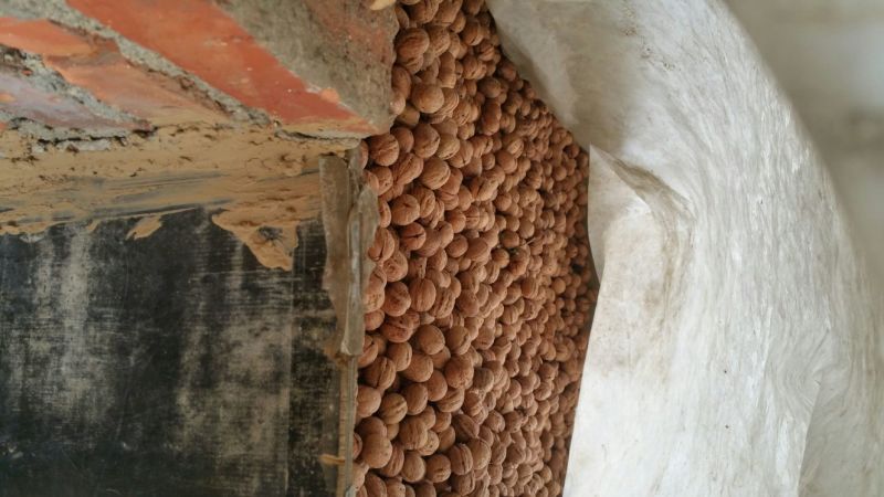 香玲核桃30mm以上去皮