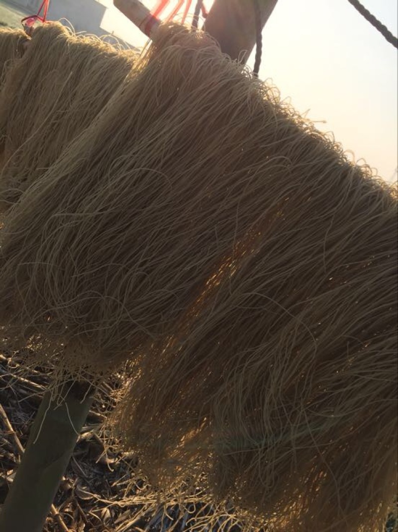 红薯粉丝