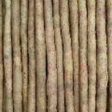 小白嘴白山药2~3厘米一级40~50厘米