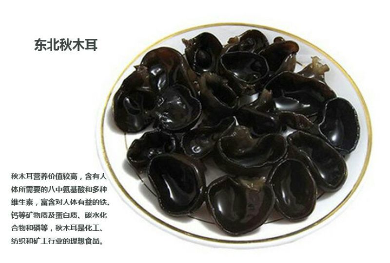 干木耳一级