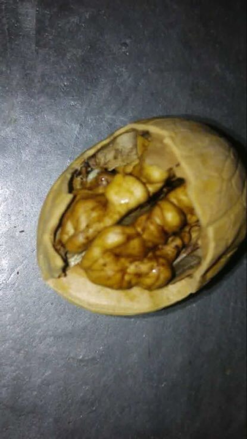 薄皮核桃