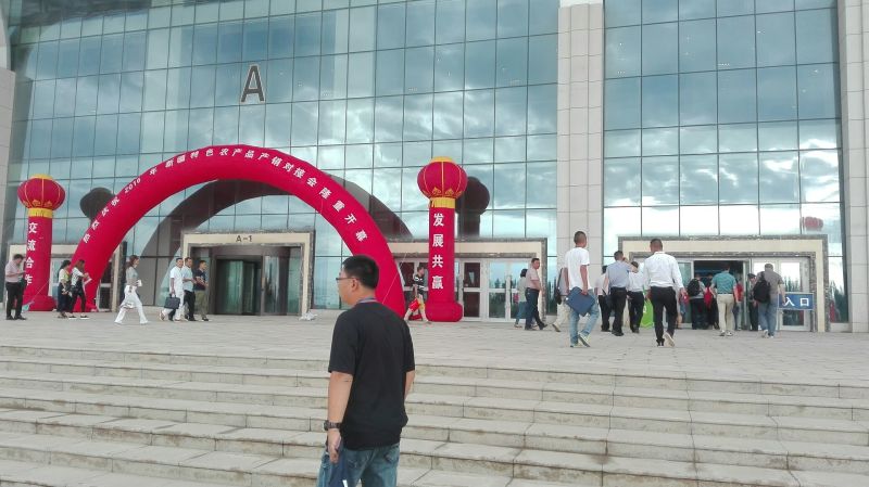 哈密瓜5斤以上长圆形