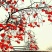 柿饼1~2两
