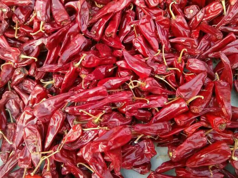 《种植基地》大量北京红干辣椒上市，八成半，有需要的联系