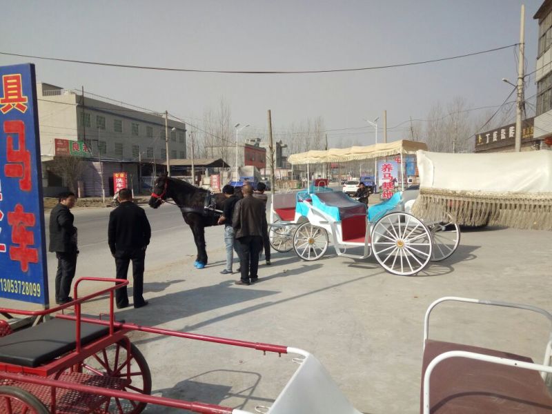 半血马400~500kg