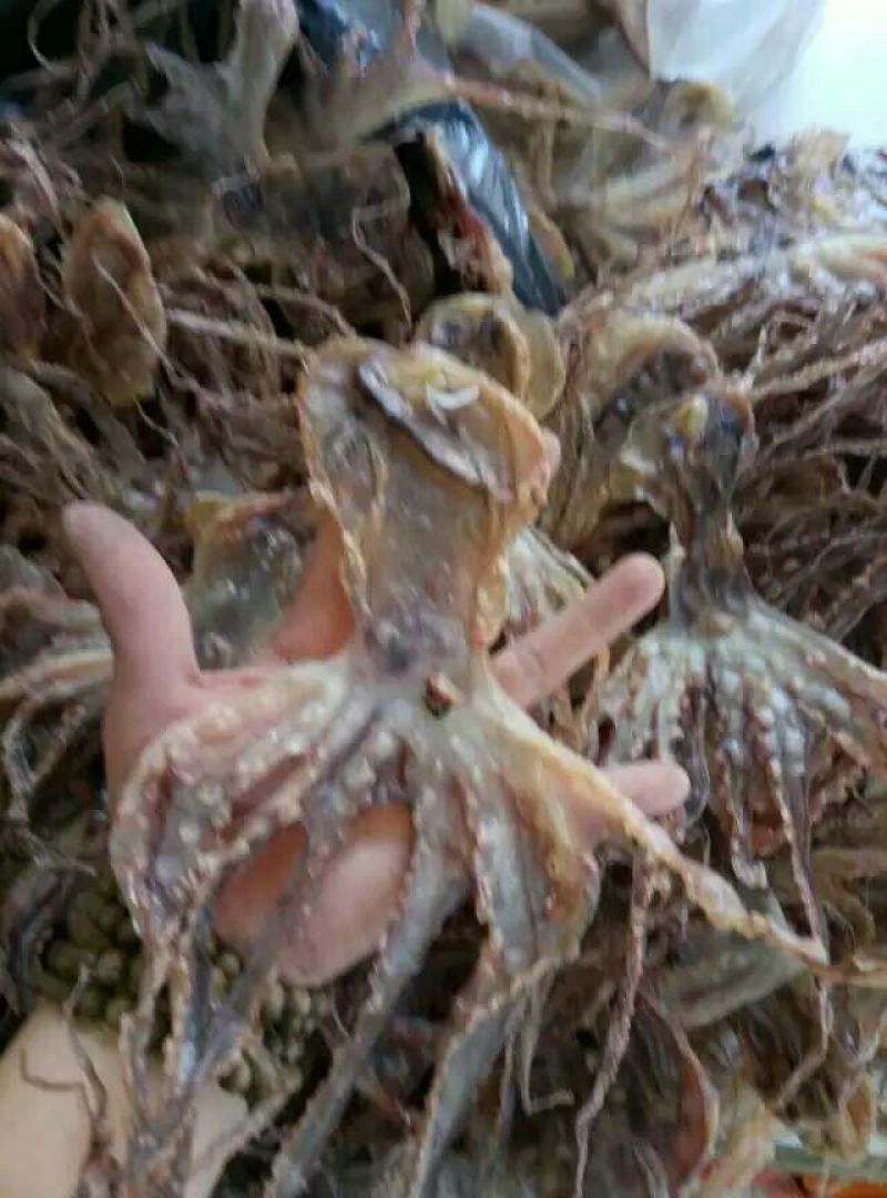 鱿鱼干包装