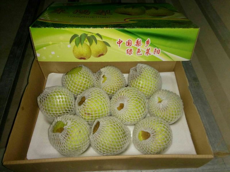 梨300~350g纸箱