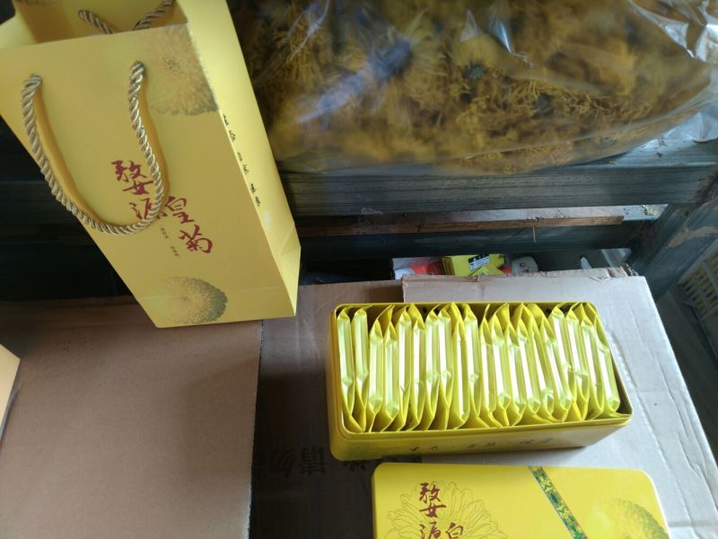 菊花茶开花