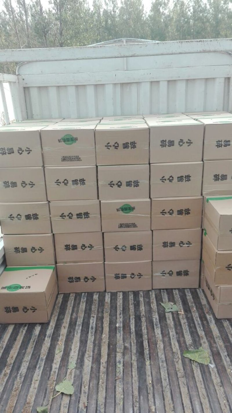 砀山梨400~450g纸箱