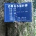 小叶桢楠1~1.5m