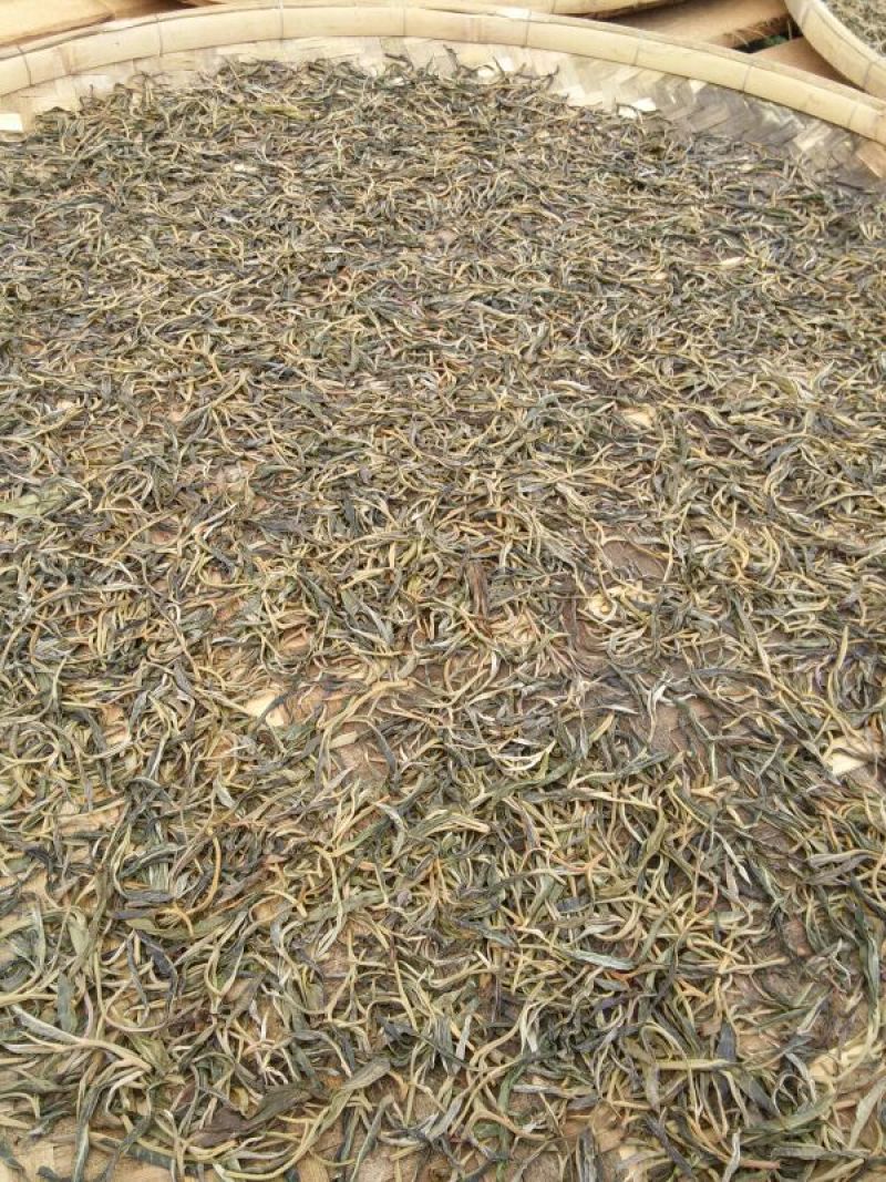 古树普洱茶二级