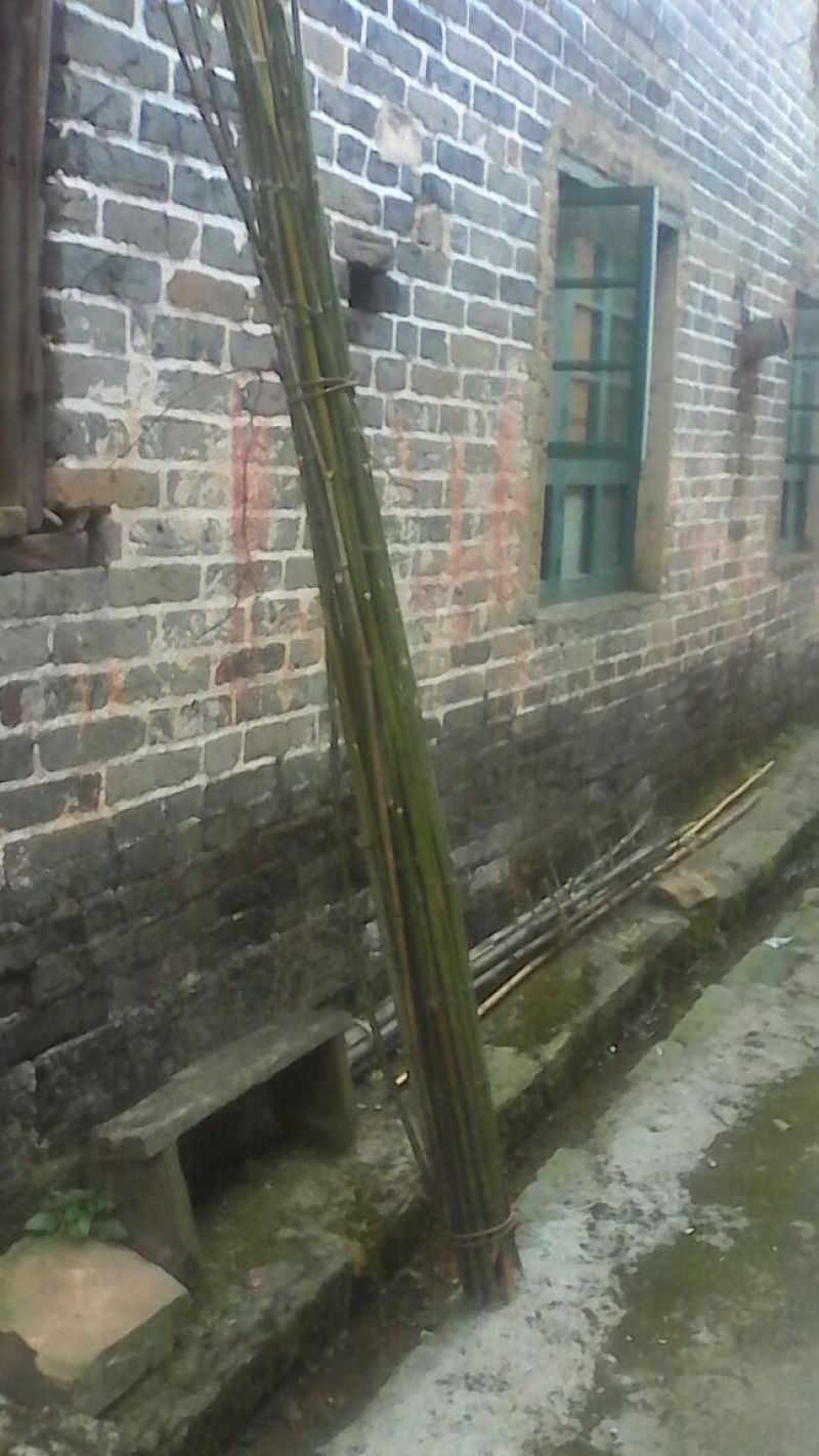 绿竹3~4m