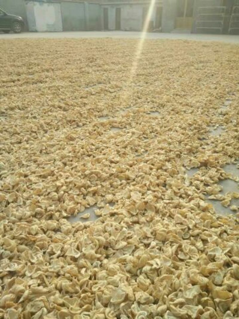 豆皮湿