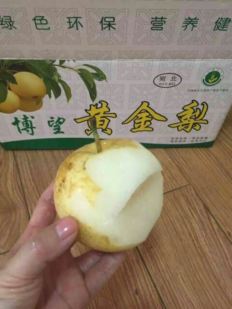 黄金梨400~450g纸加膜