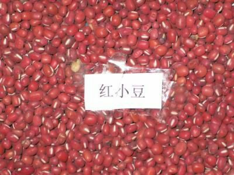 红小豆散装