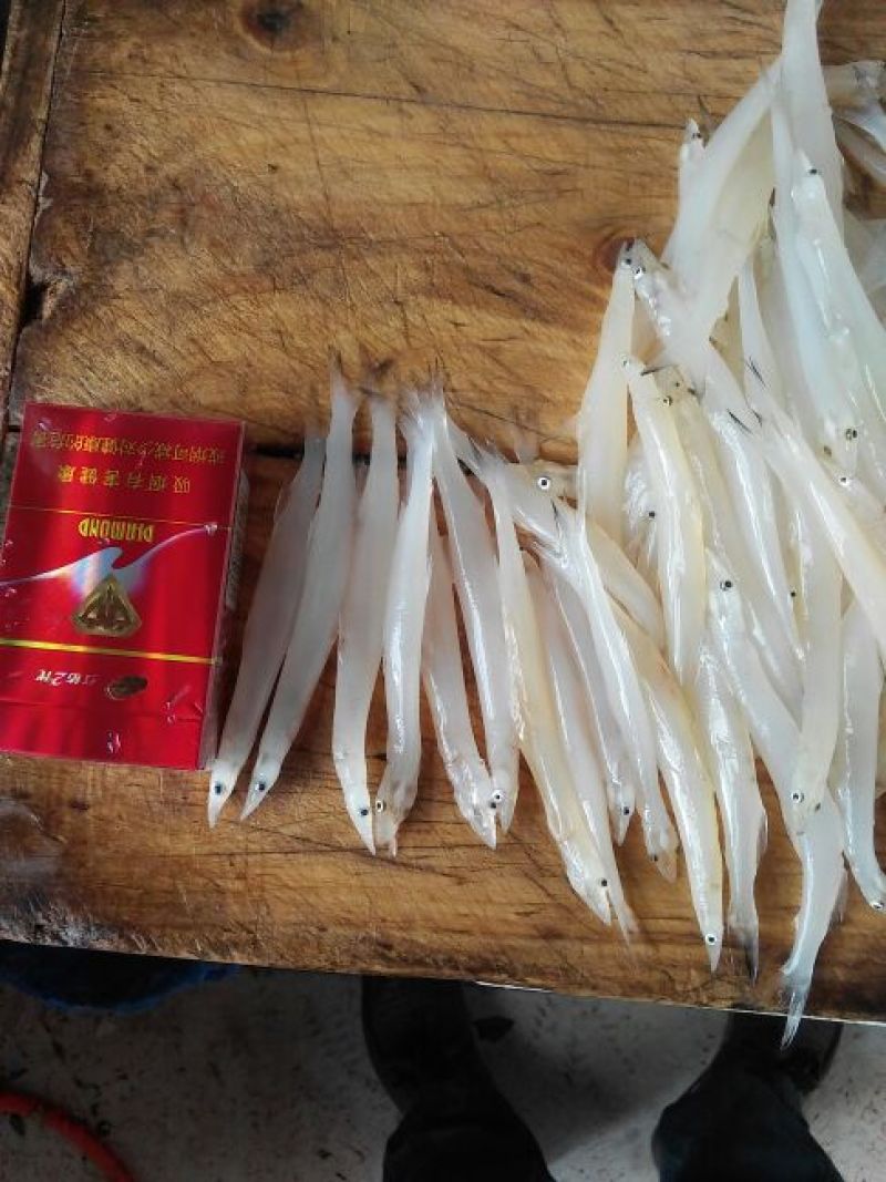 河虾冰鲜虾26~30只/kg