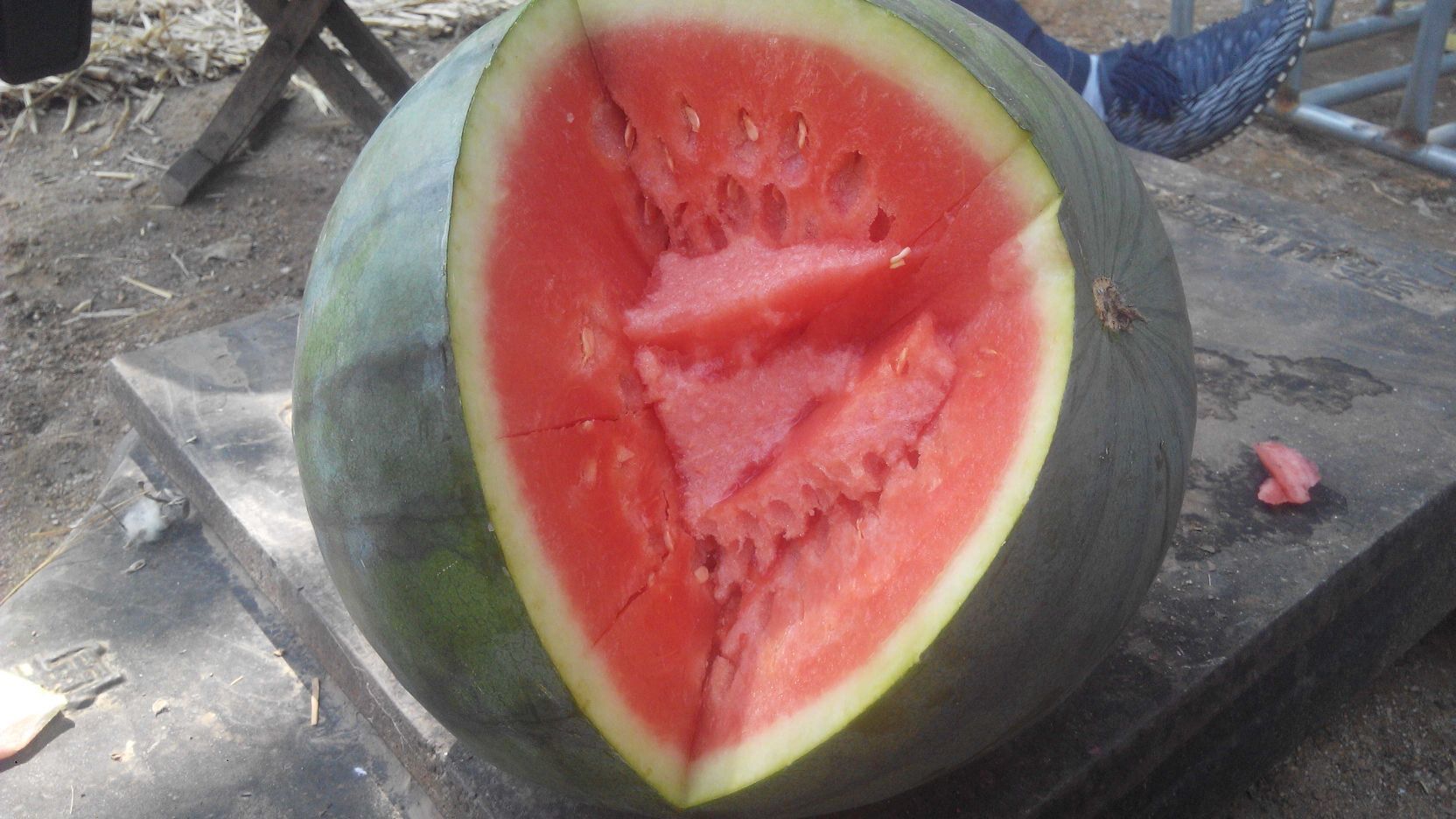 山东滨州市惠民县无籽西瓜 10斤打底 9成熟 1茬