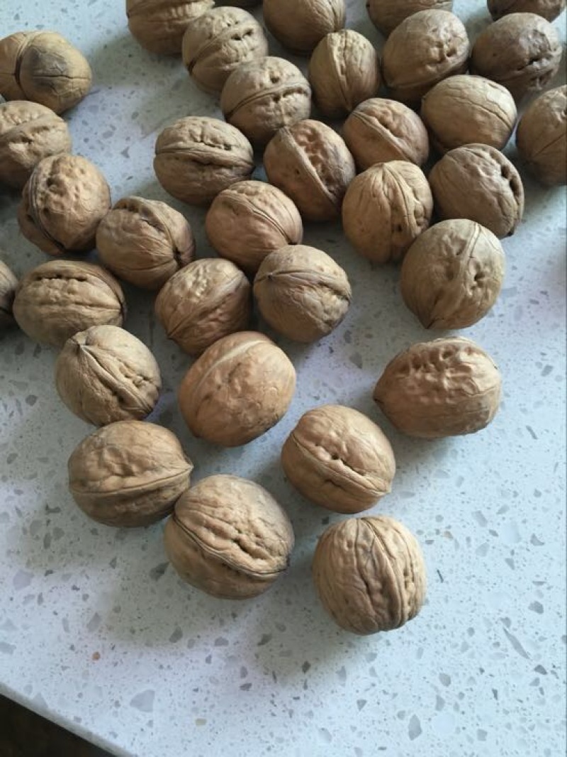 薄皮核桃