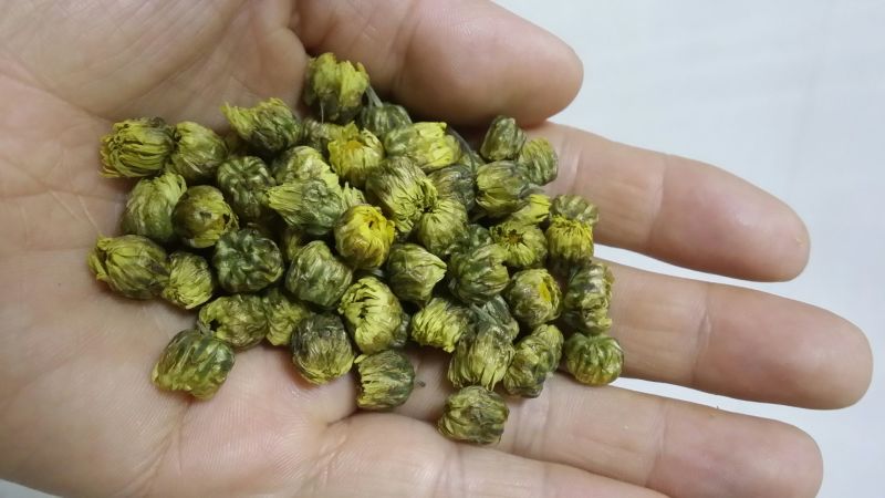 杭州白菊散装
