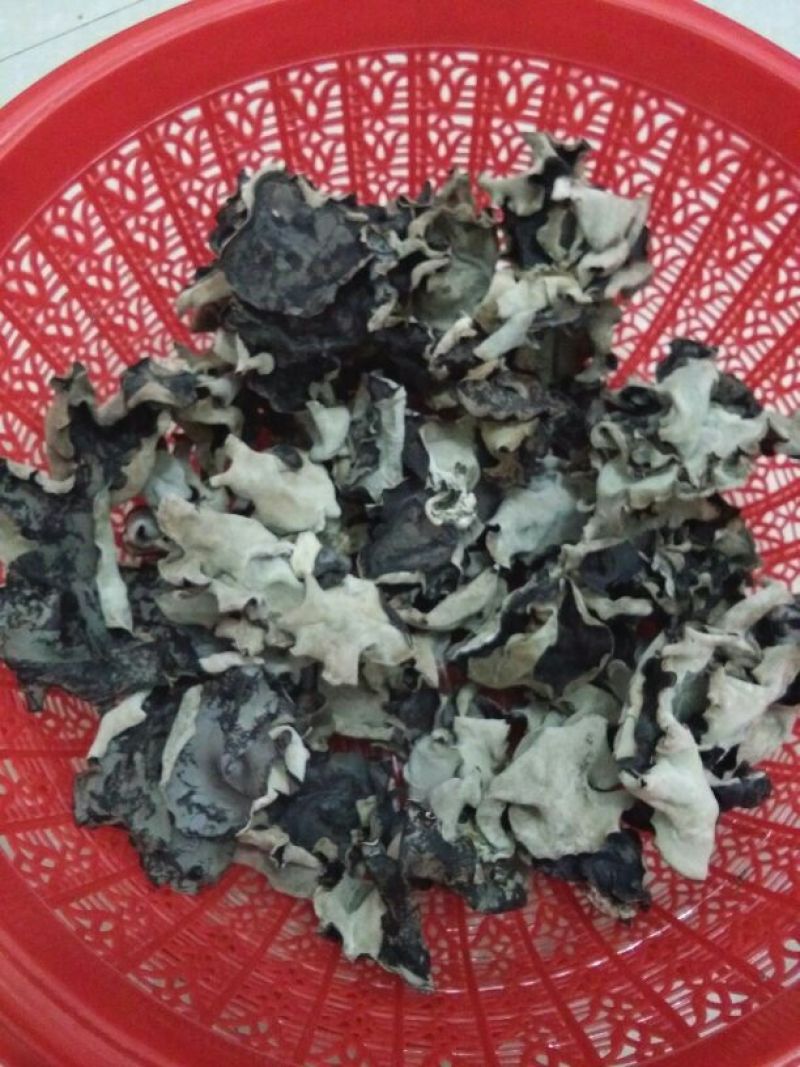 毛木耳一级