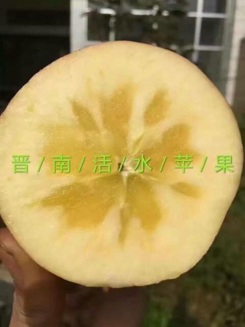 冰糖心苹果70mm以上膜袋