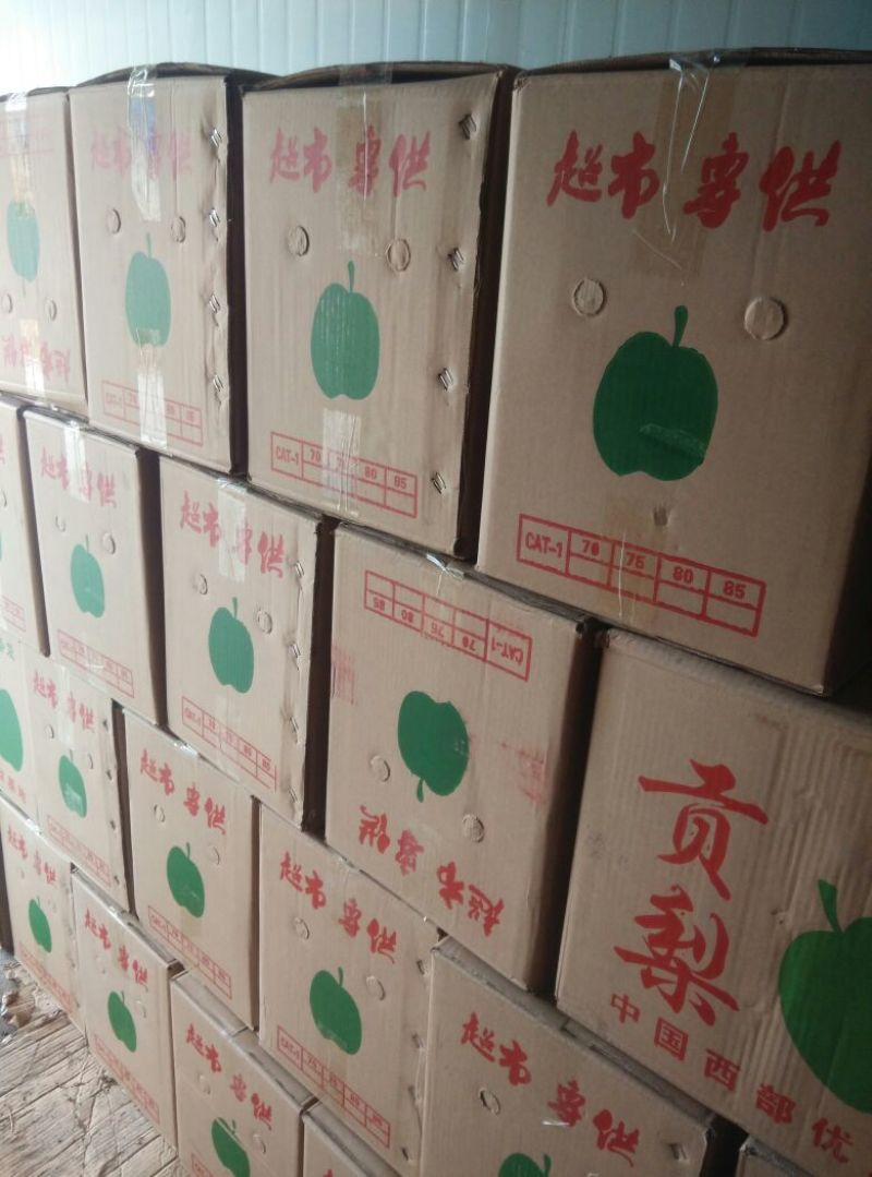 礼泉酥梨200~250g纸箱