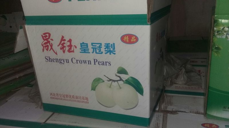 皇冠梨250~300g纸箱