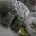 绿色健康精品农家自产干香菇蘑菇