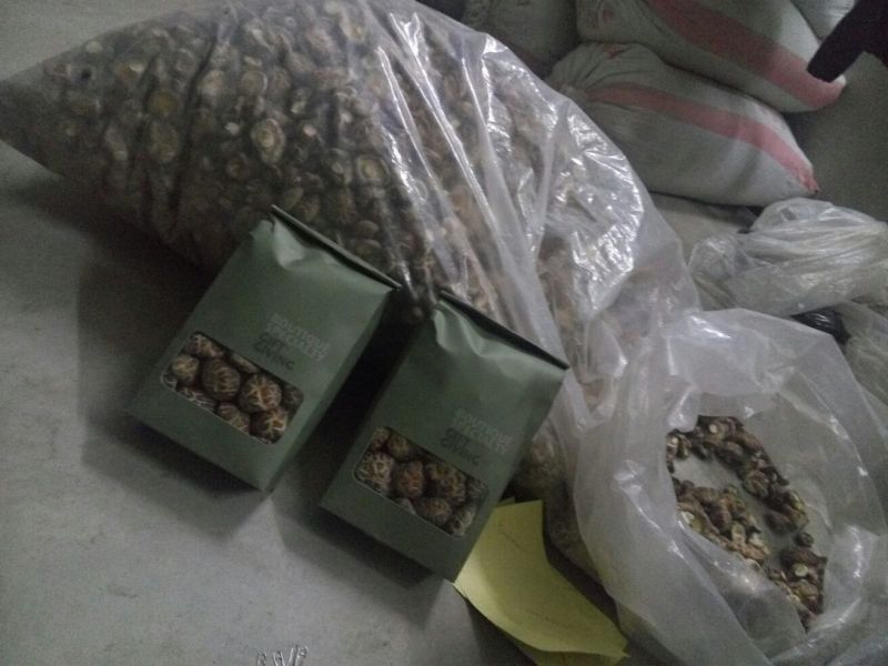 绿色健康精品农家自产干香菇蘑菇
