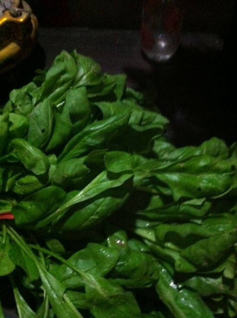 大叶菠菜