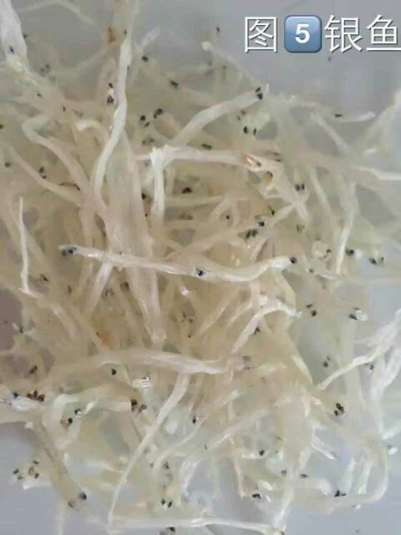 鱼干日晒鱼干