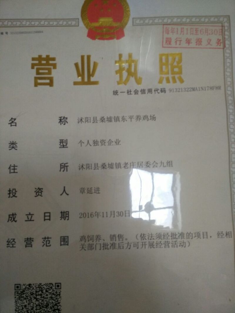 土鸡苗35~45克出壳苗