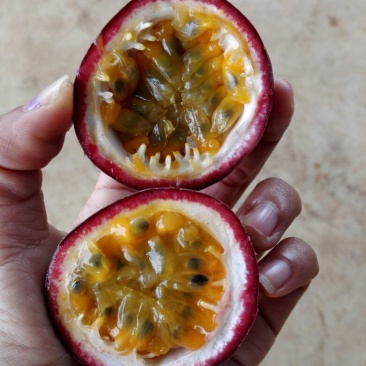 百香果