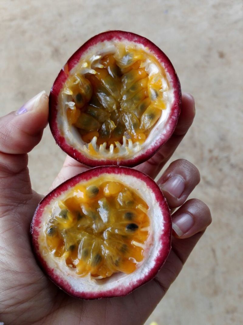 百香果