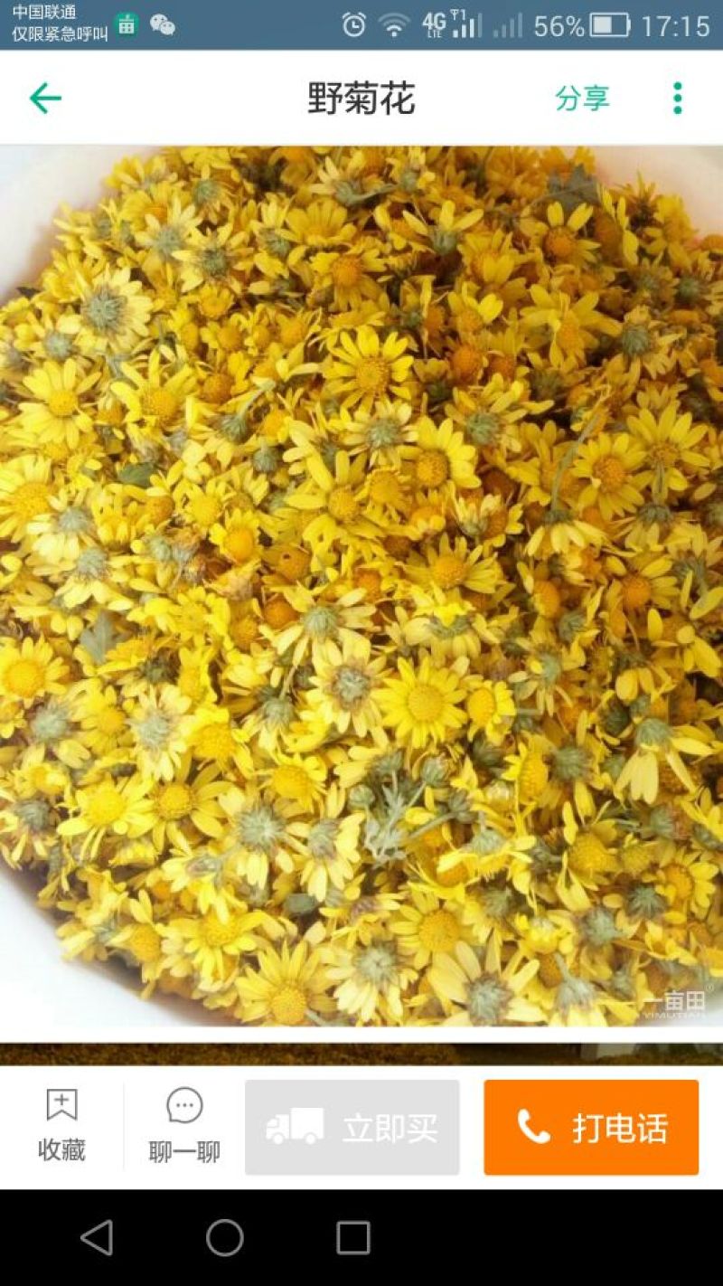 野菊花颗粒