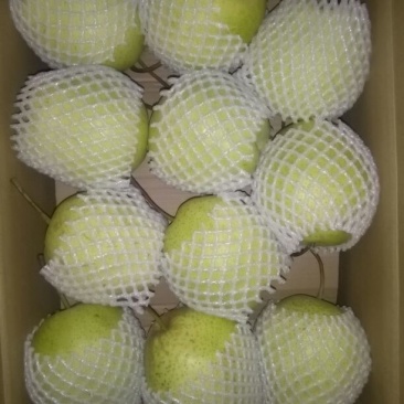 雪花梨250~300g纸箱