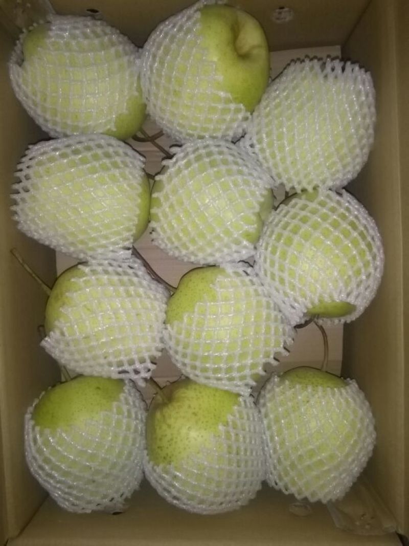 雪花梨250~300g纸箱