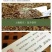 本山茶特级
