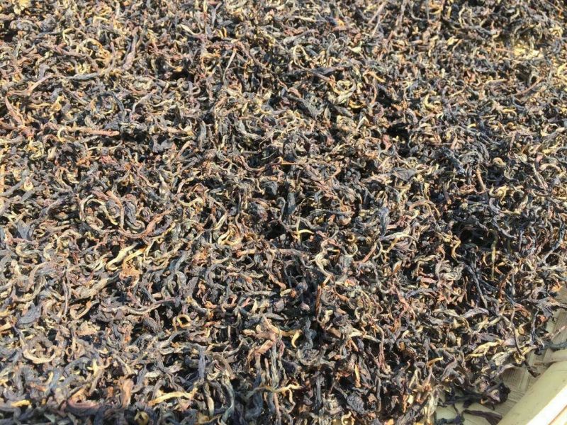 百年大树茶