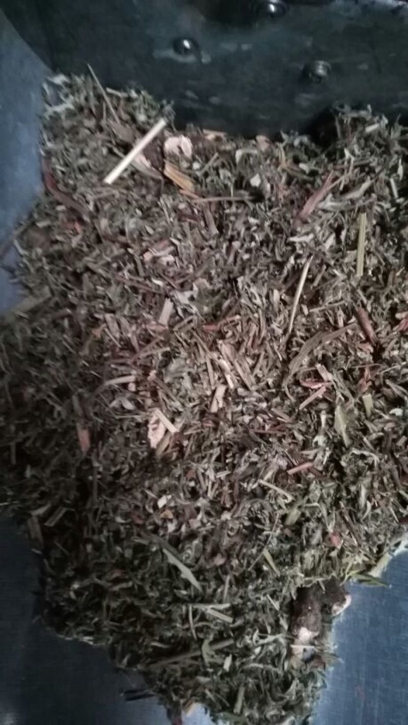 翻白草