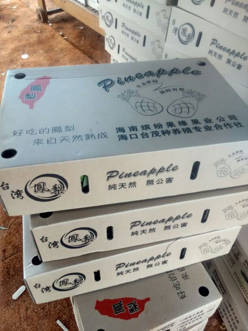 海南风梨金钻十六号凤梨欢迎来电地头装货