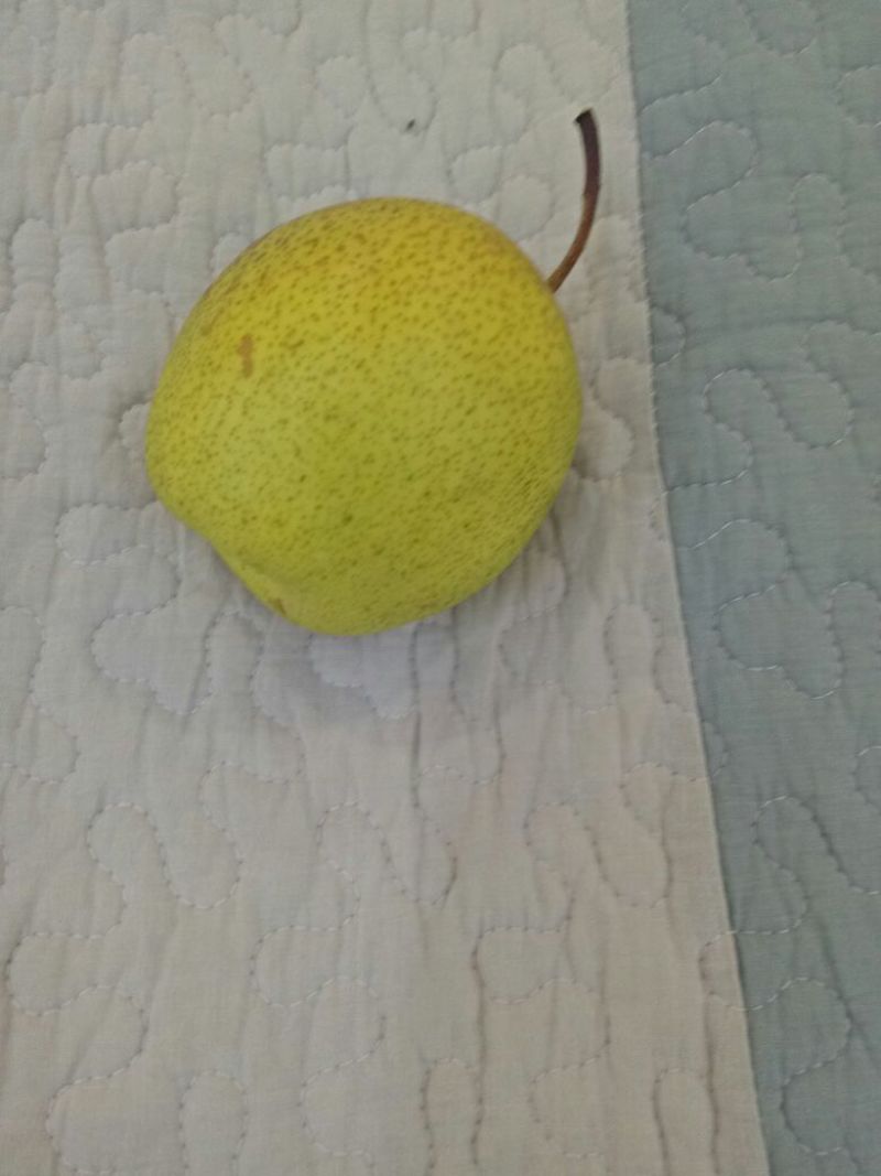 白梨150~200g纸箱